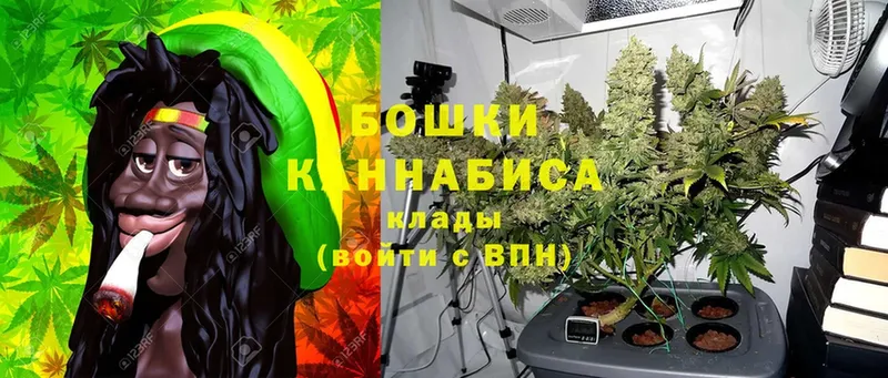 Шишки марихуана SATIVA & INDICA  darknet как зайти  Зеленодольск 